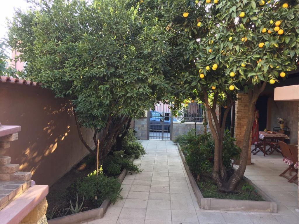 Il Mandarino Bed & Breakfast Decimomannu Bagian luar foto